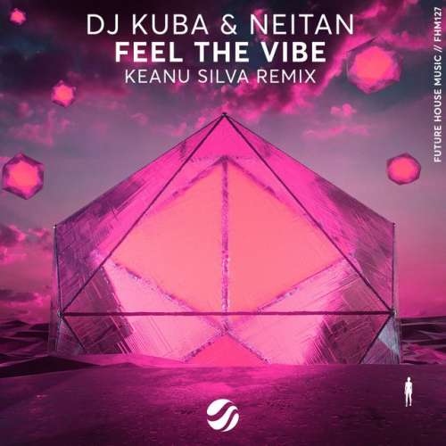 Feel The Vibe - Keanu Silva Remix